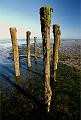 litoral 26_06_11n05